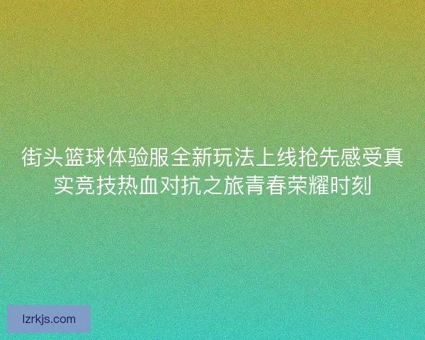 街头篮球体验服全新玩法上线抢先感受真实竞技热血对抗之旅青春荣耀时刻